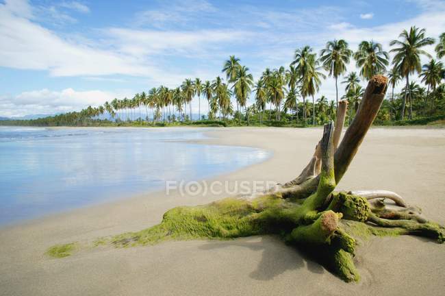 Тропический остров с песчаным пляжем — стоковое фото