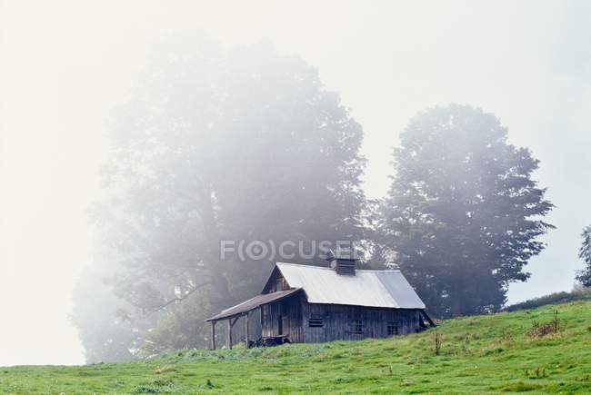 Haus in der Nähe von Pfirsich auf Feld — Stockfoto