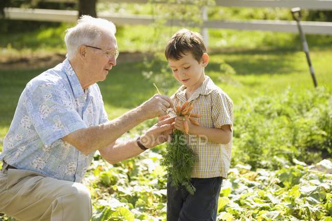 Avô e neto no jardim — Fotografia de Stock