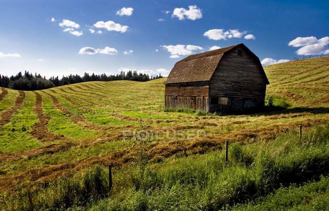 Ancienne grange dans le champ — Photo de stock