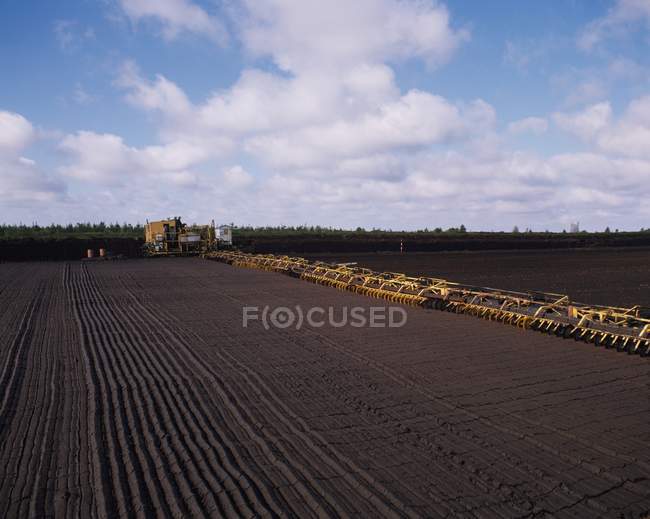 Produzione di tappeto erboso con mietitrebbie — Foto stock