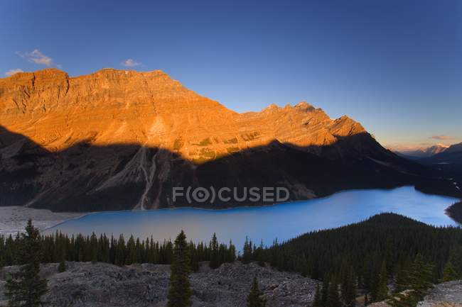 Lago Peyto en Banff - foto de stock