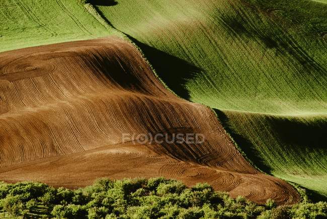 Verde y colinas marrones - foto de stock