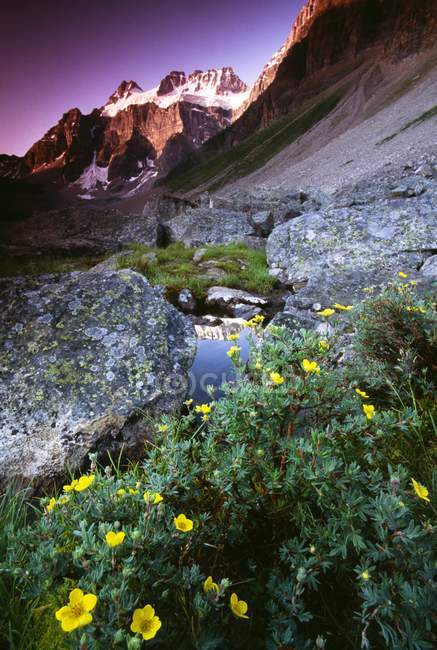 Pics et ruisseaux de montagne — Photo de stock