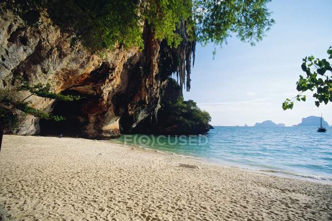 Песчаный пляж с тропическими деревьями — стоковое фото