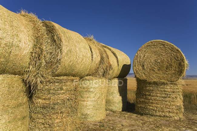Stacked Hay Bales — Stock Photo