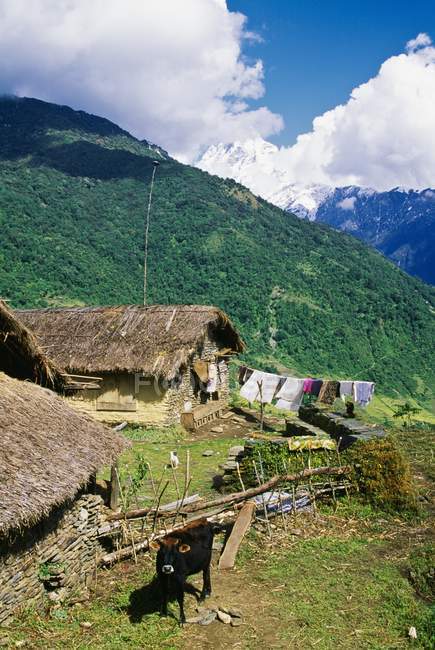 Maisons de village dans la région Annapurna — Photo de stock