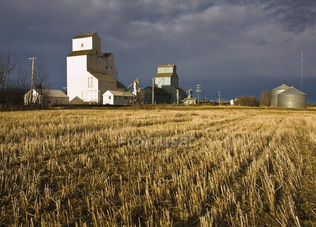 Зерновые лифты и поле — стоковое фото