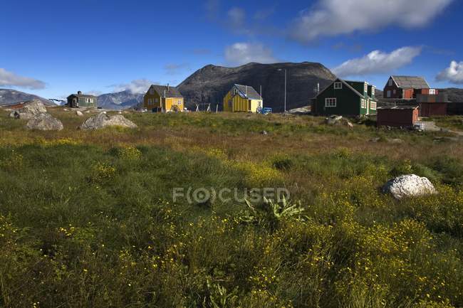 Casas coloridas em campo — Fotografia de Stock