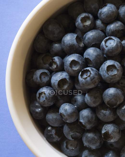 White Bowl Of Blueberries — Stock Photo