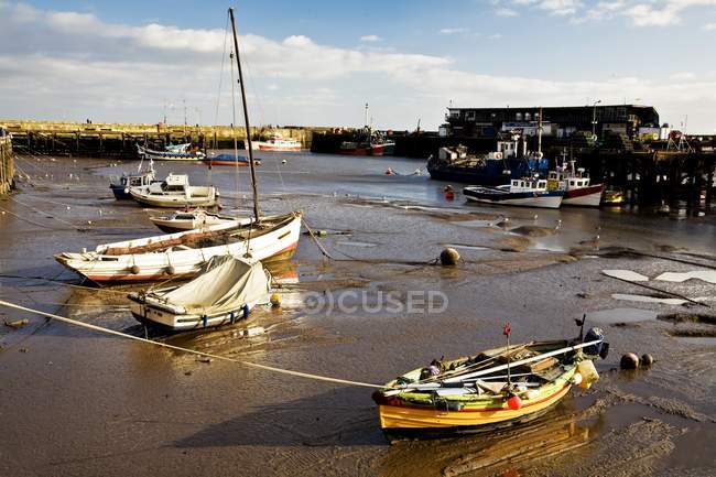 Лодная гавань в Бристольнгтоне, Англия, Великобритания — стоковое фото