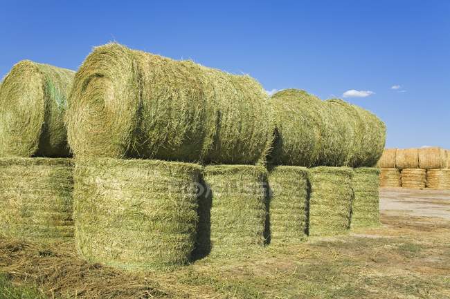 Stacked Hay Bales — Stock Photo