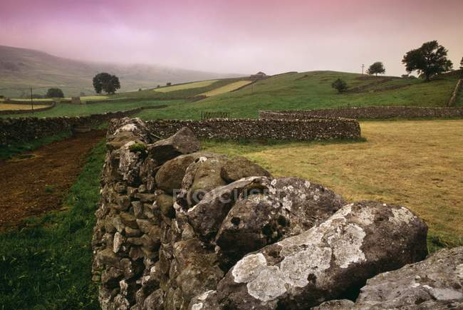 Stone Fences And Fields — Stock Photo
