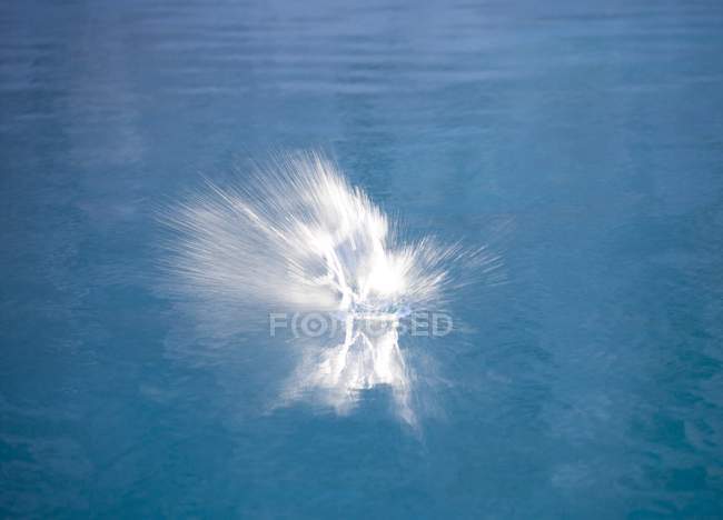 Vista de Splash en el agua - foto de stock