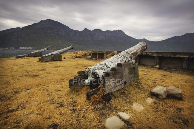 Old Cannons in a row — Stock Photo