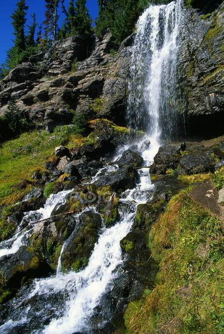 Криво Creek Falls — стокове фото