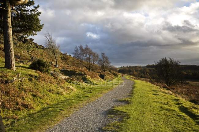 Narrow Road with green grass — Stock Photo