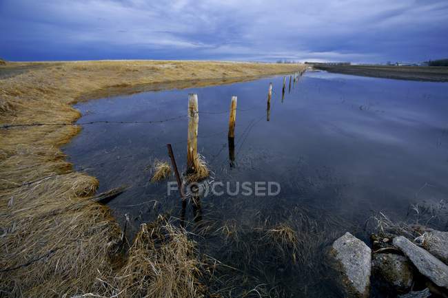 Agua de inundación con hierba - foto de stock