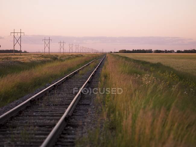 Railroad Tracks at Manitoba — Stock Photo