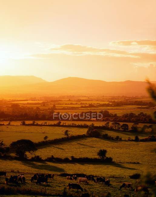 View of mountain field — Stock Photo
