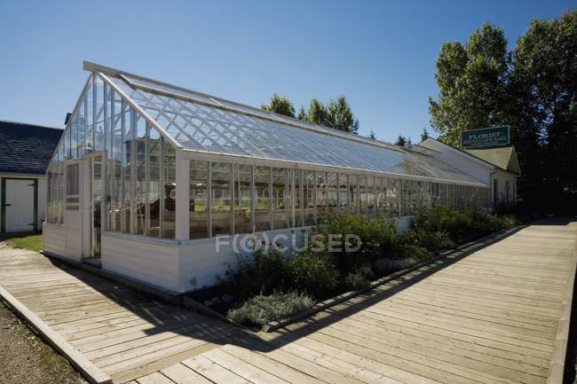 Greenhouse and wooden walkway — Stock Photo