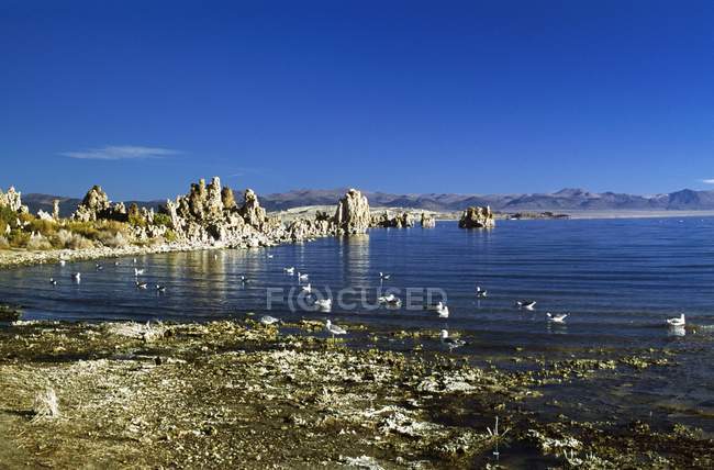 Rock Formations and birds — Stock Photo
