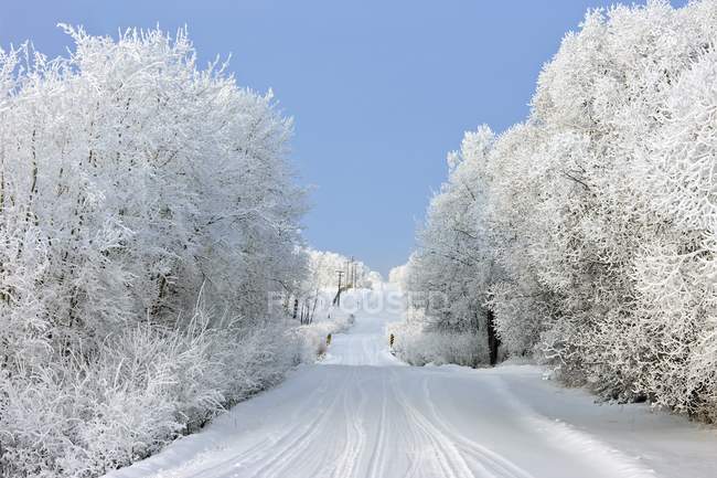Заміська дорога взимку — стокове фото