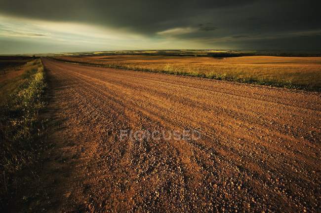 Country Road over field — Stock Photo