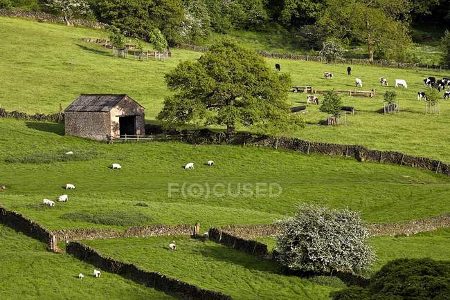 Fienile nel Derbyshire, Inghilterra — Foto stock
