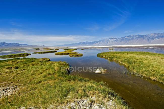 Wetland nel letto del lago di Owens Lake — Foto stock