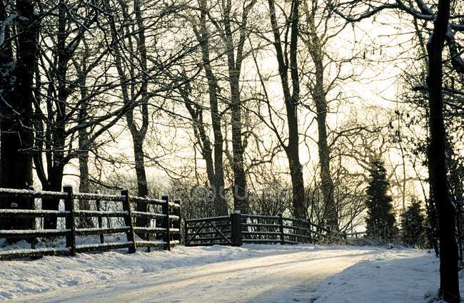 Зимняя дорога с деревянным забором — стоковое фото