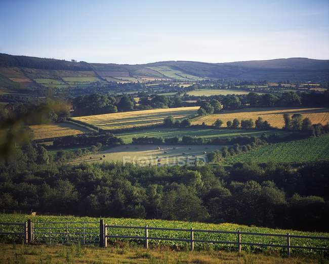 Observing view of Bunclody — Stock Photo
