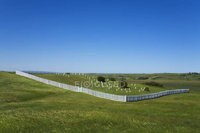 Кладбище над зеленым полем — стоковое фото
