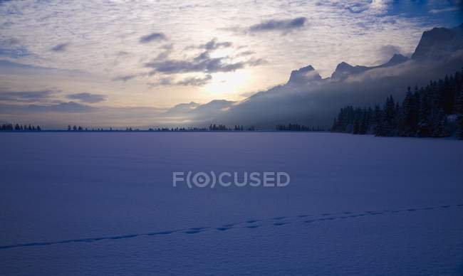 Tracks Across Snowy Ground — Stock Photo