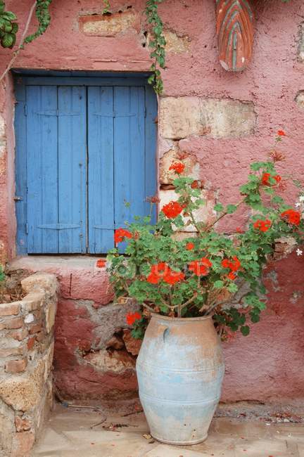 Fenêtre bleue et pot de fleurs — Photo de stock