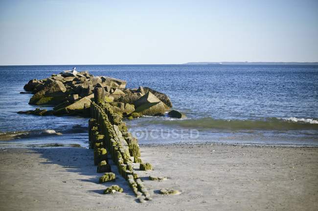 Playa de Coney Island - foto de stock