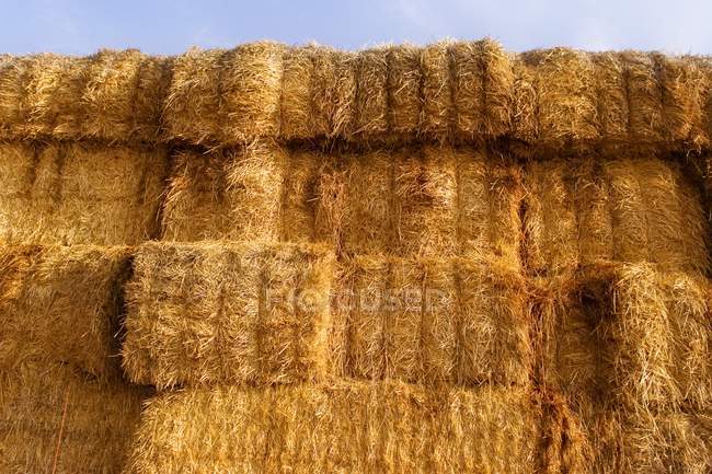 Hay Bales and blue sky — Stock Photo