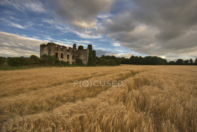 Edificio con campo di grano — Foto stock