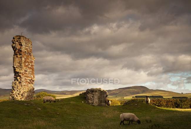 Ruinen der Burg von Cessford — Stockfoto