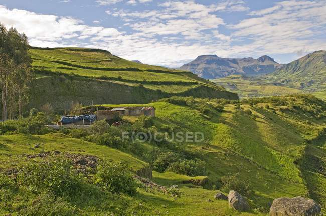 Green grass and hills — Stock Photo