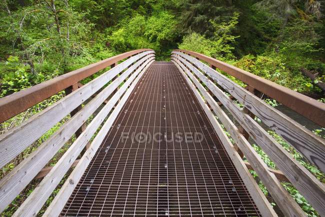 Walking Bridge In Silver Falls State Park — Stock Photo