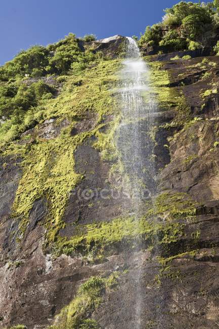 Waterfall In Milford Sound — Stock Photo