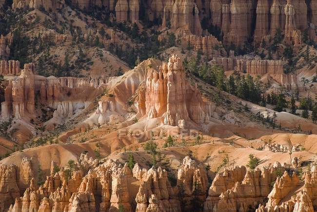 Agujas de Bryce Canyon - foto de stock