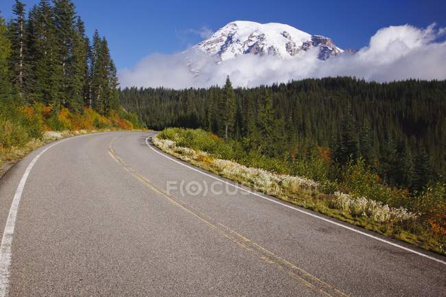 Camino en Mt. Parque Nacional Rainier - foto de stock