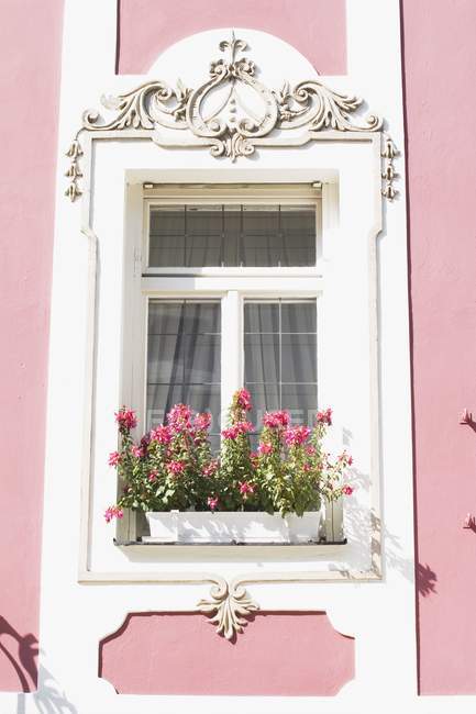 Dekoratives Fenster mit Blumenkasten — Stockfoto