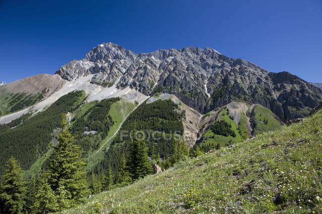 Montaña con prados verdes - foto de stock