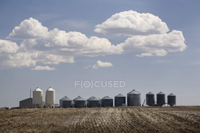 Зерновые баки в поле — стоковое фото
