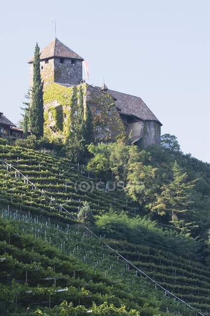 Château au sommet d'une colline — Photo de stock