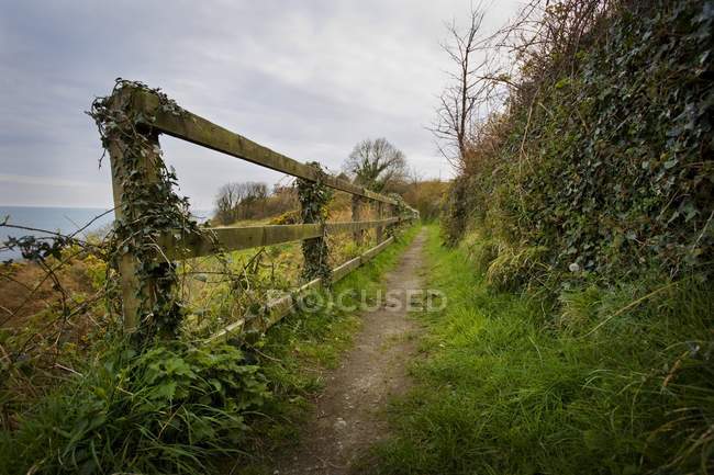 Zaun entlang des Weges in irland — Stockfoto