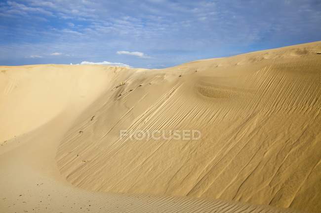 The Sand Dunes Near Tarifa — Stock Photo